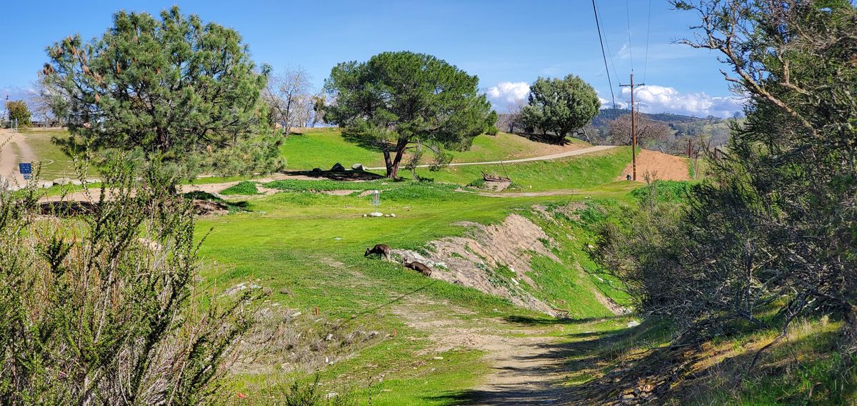 Tee #2 - short hole huge ravine to the right. Go with a mid-range, throw high and the let wind and fade do the work. Deer on course.