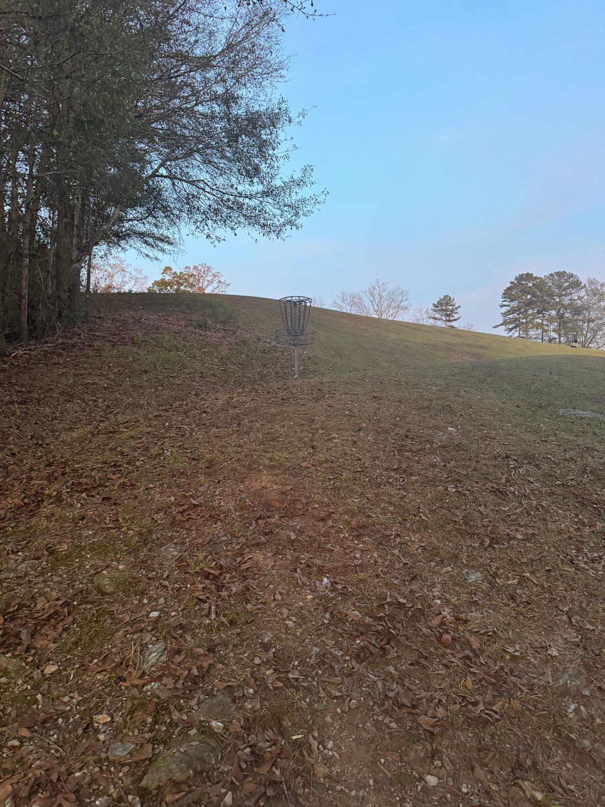 Hole 13 basket