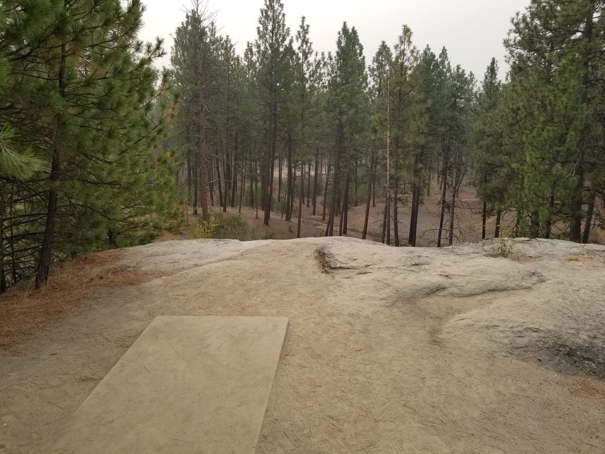 Off the top of the world on #14