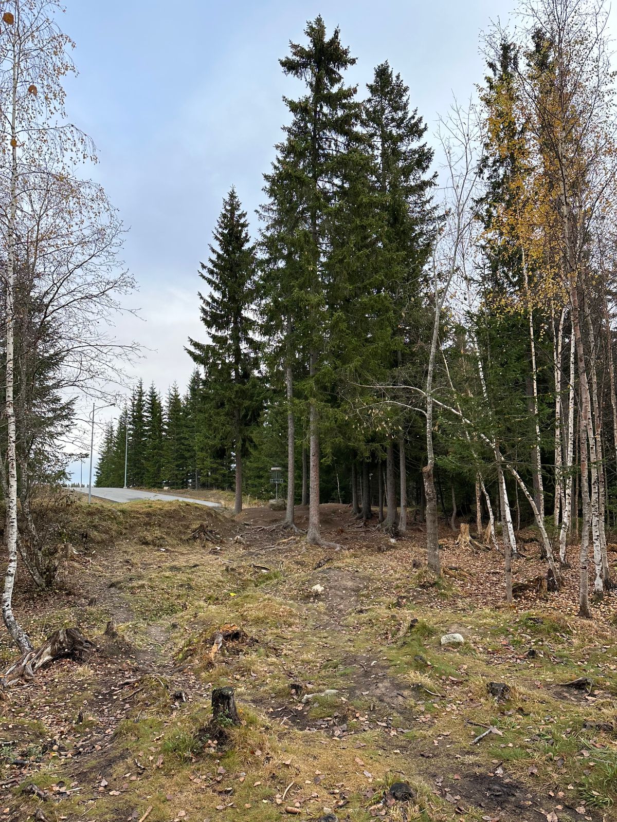 Mot tee