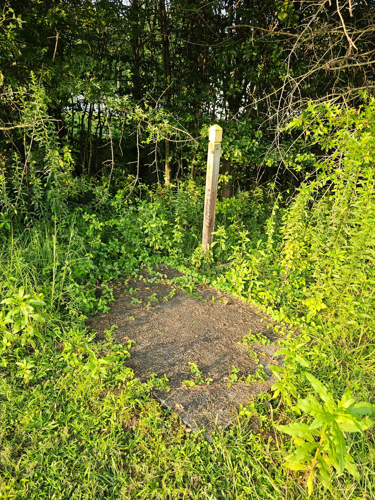 Hole 1 teepad
