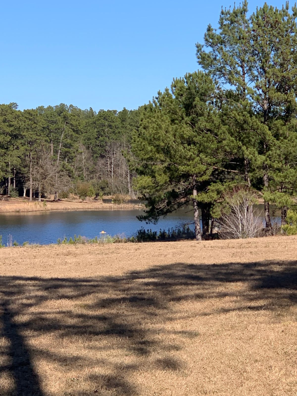 Hole 11