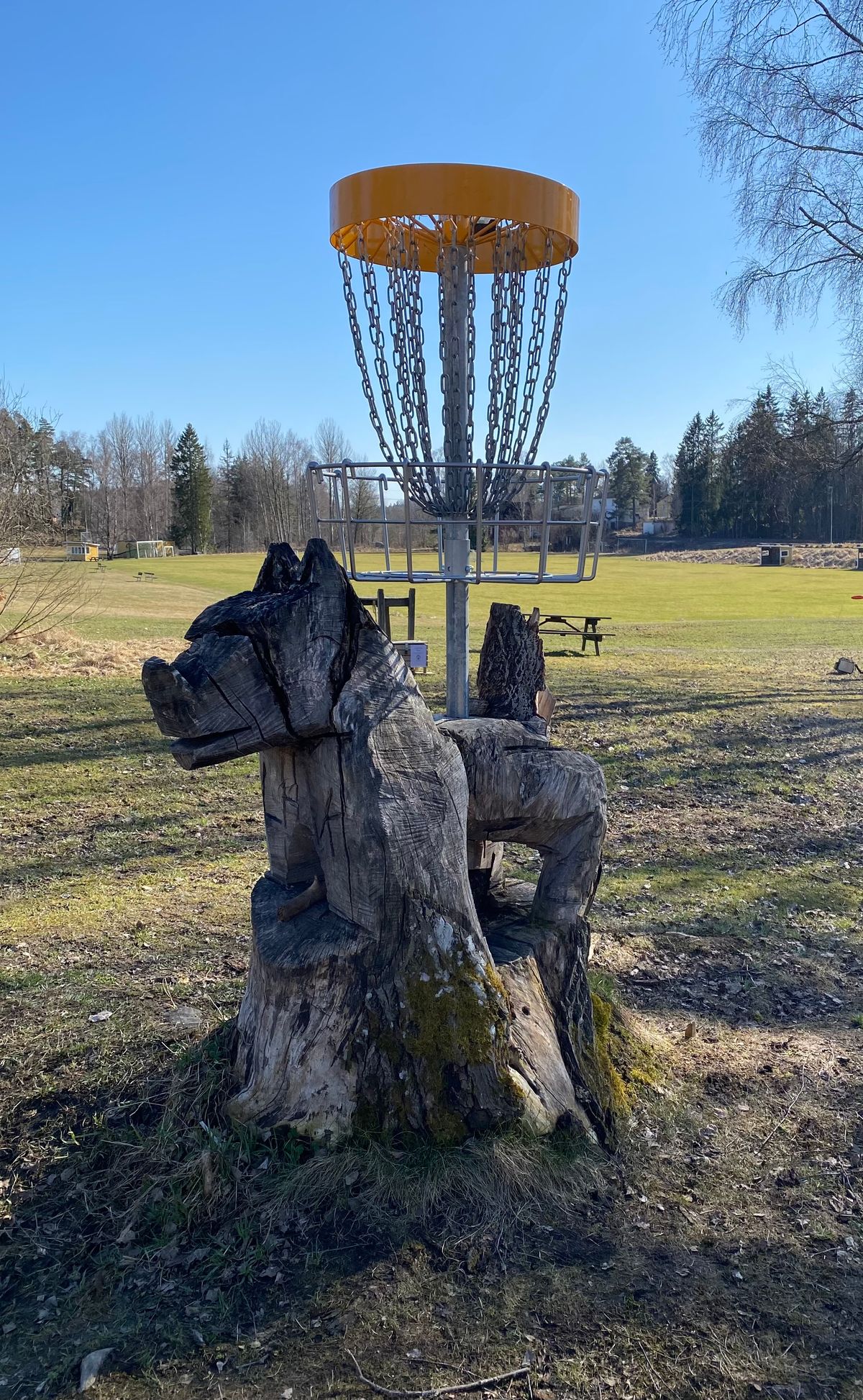 Korgen på hål 9