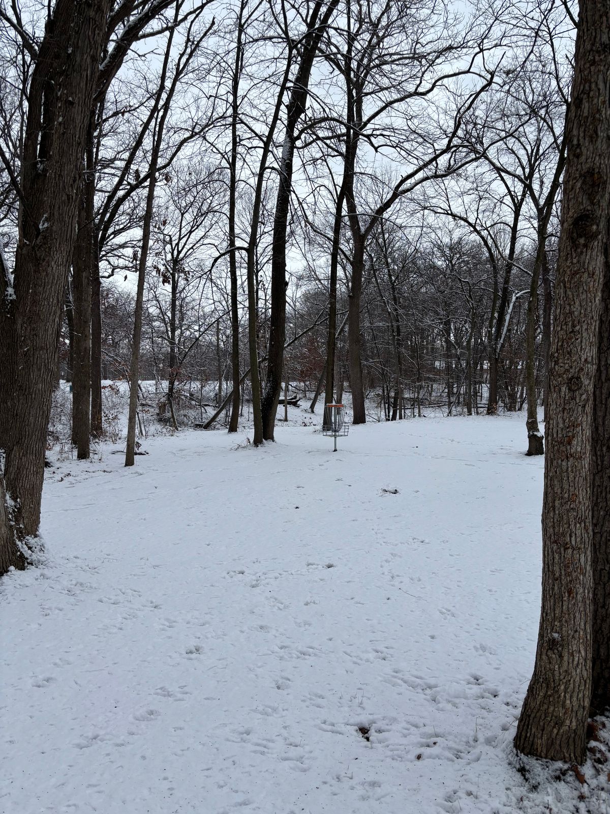 Hole 4 on a snowy day