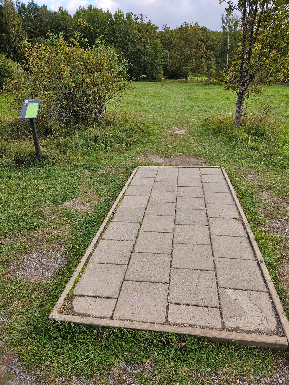 Tee 12