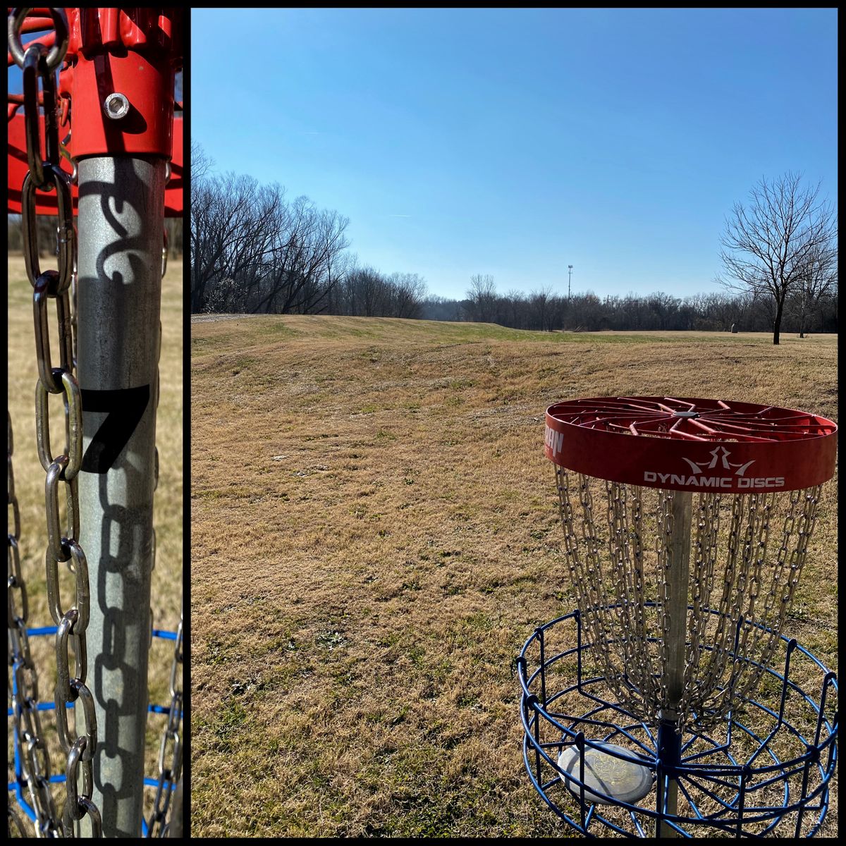#7 basket looking back south towards Tee