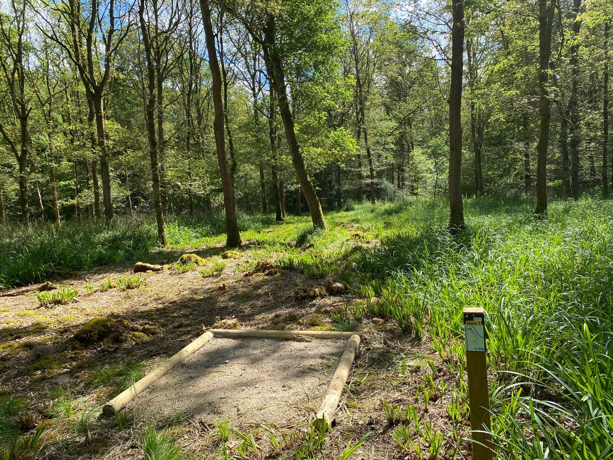 Hole 7 - Short