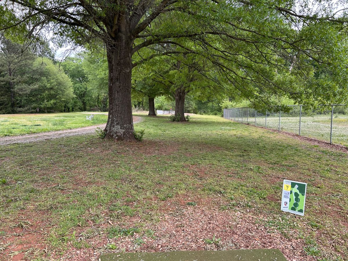Hole 7 from the tee