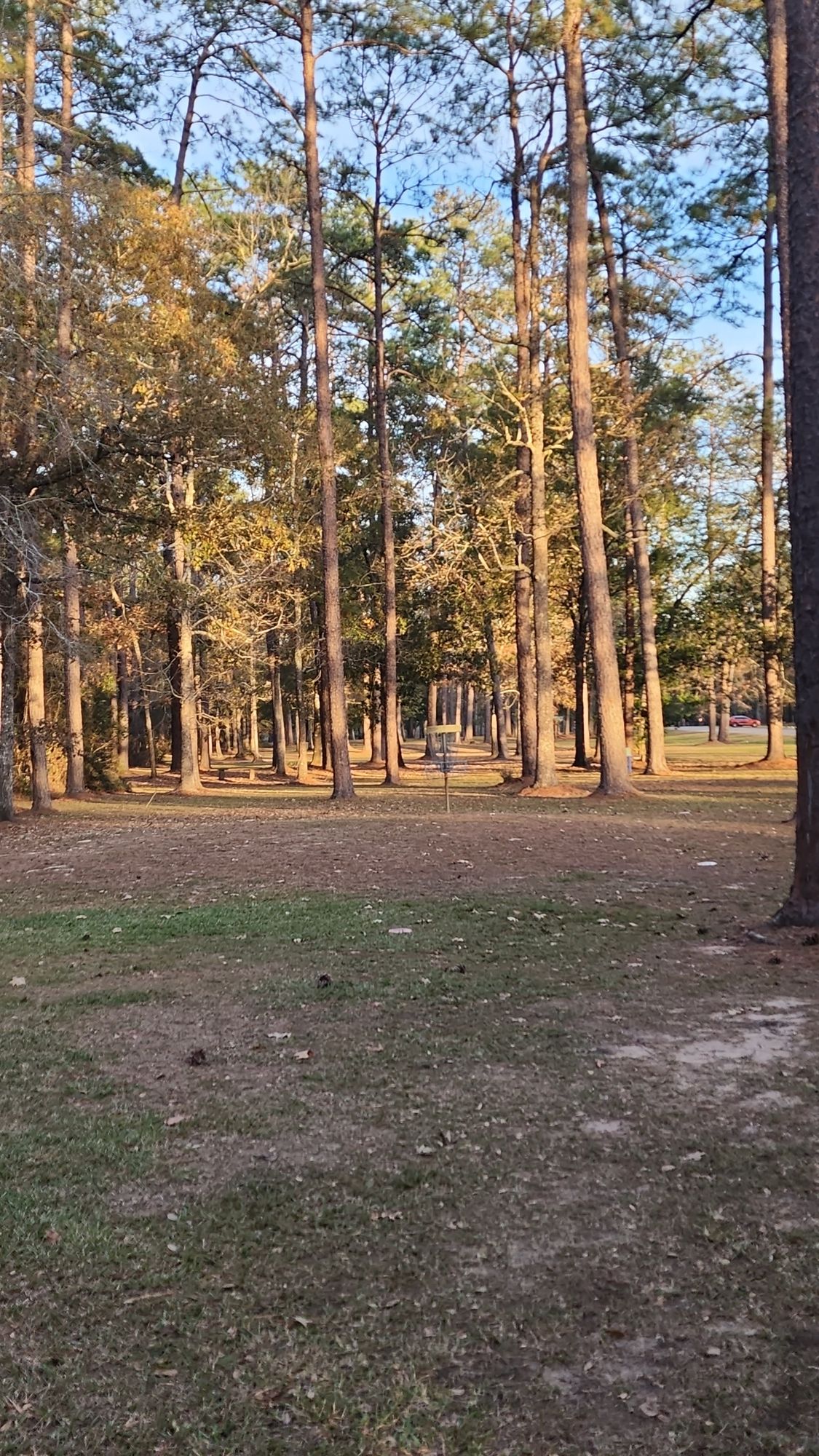 Hole 14 green