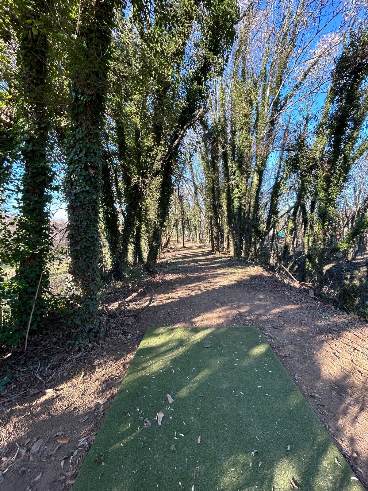 Hole 5 from the tee.