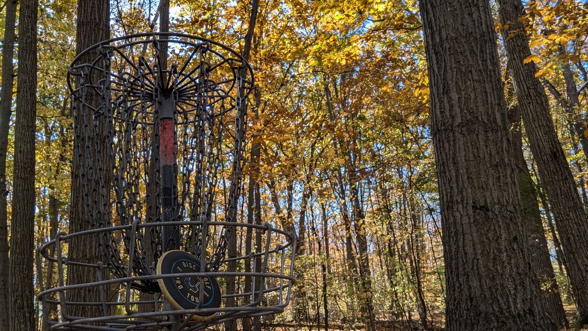 Hole 16 Basket
