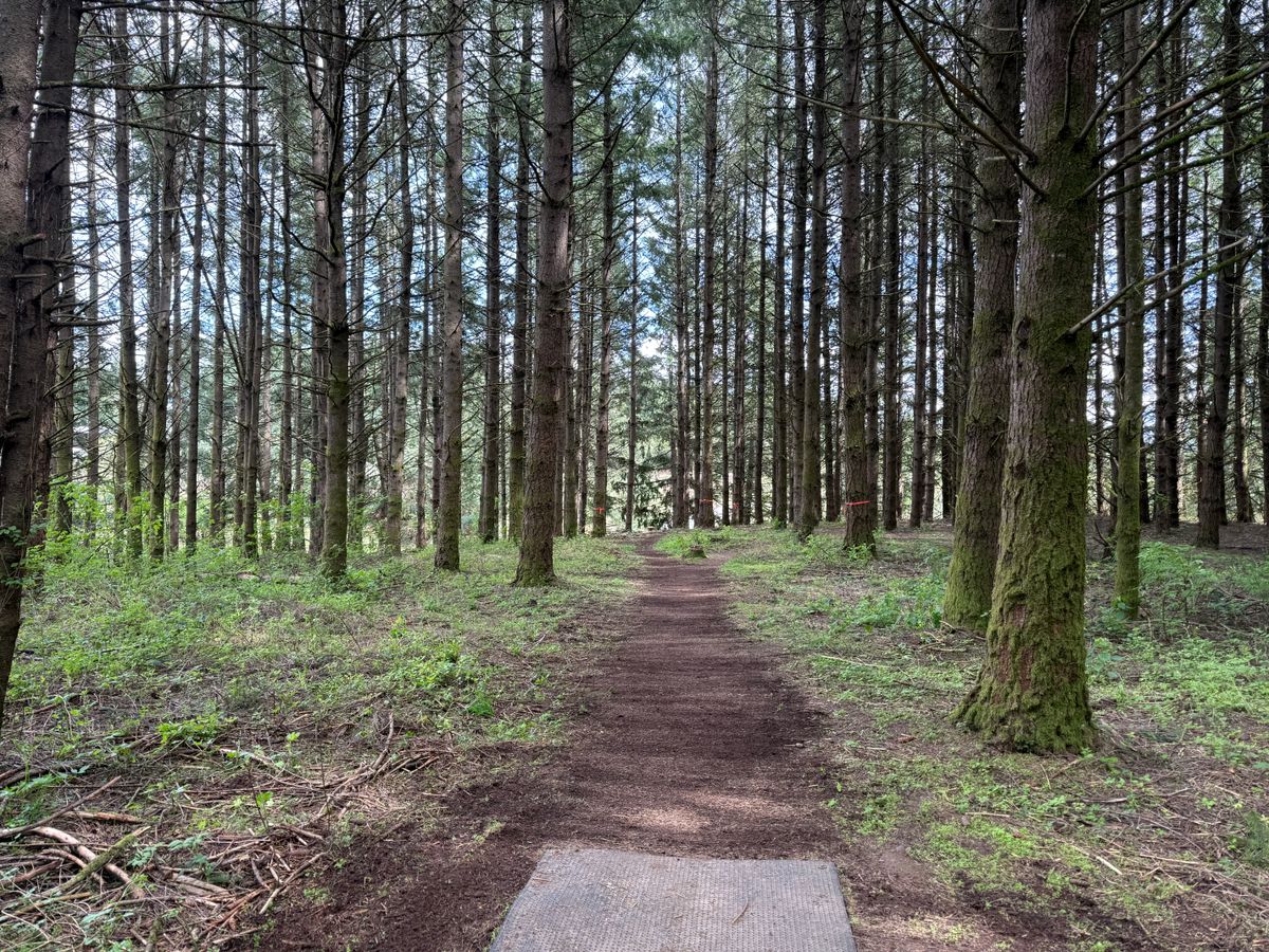 View from tee pad 8