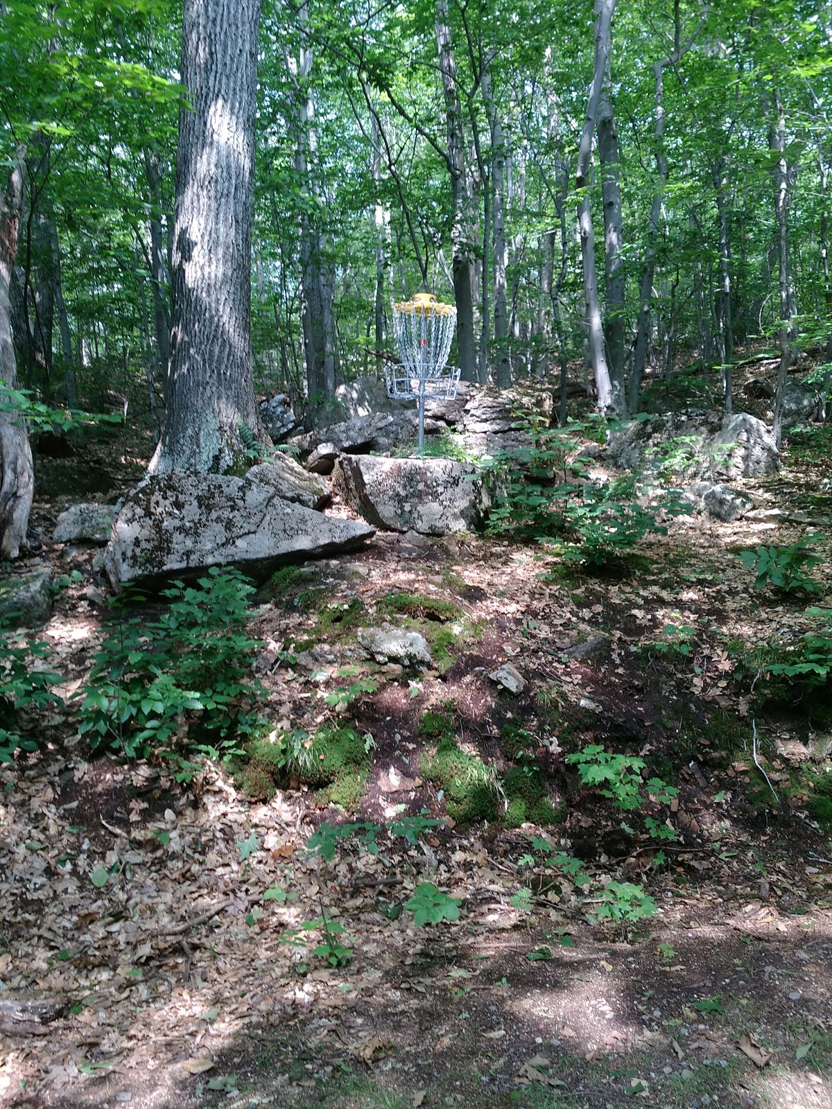 Hole 11. May it be remembered.