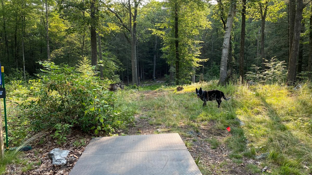 Short tee pad of 13