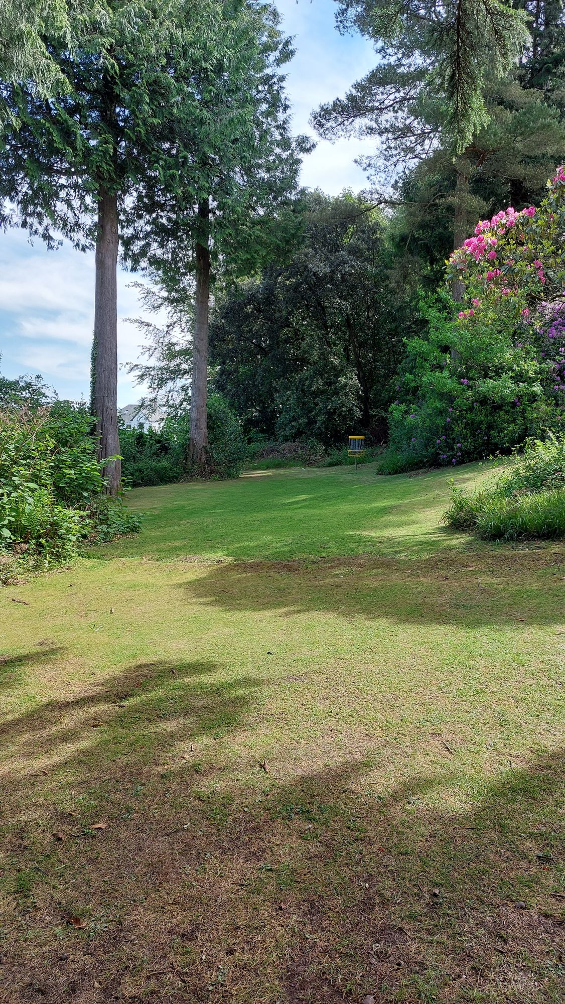 Fairway on hole 7