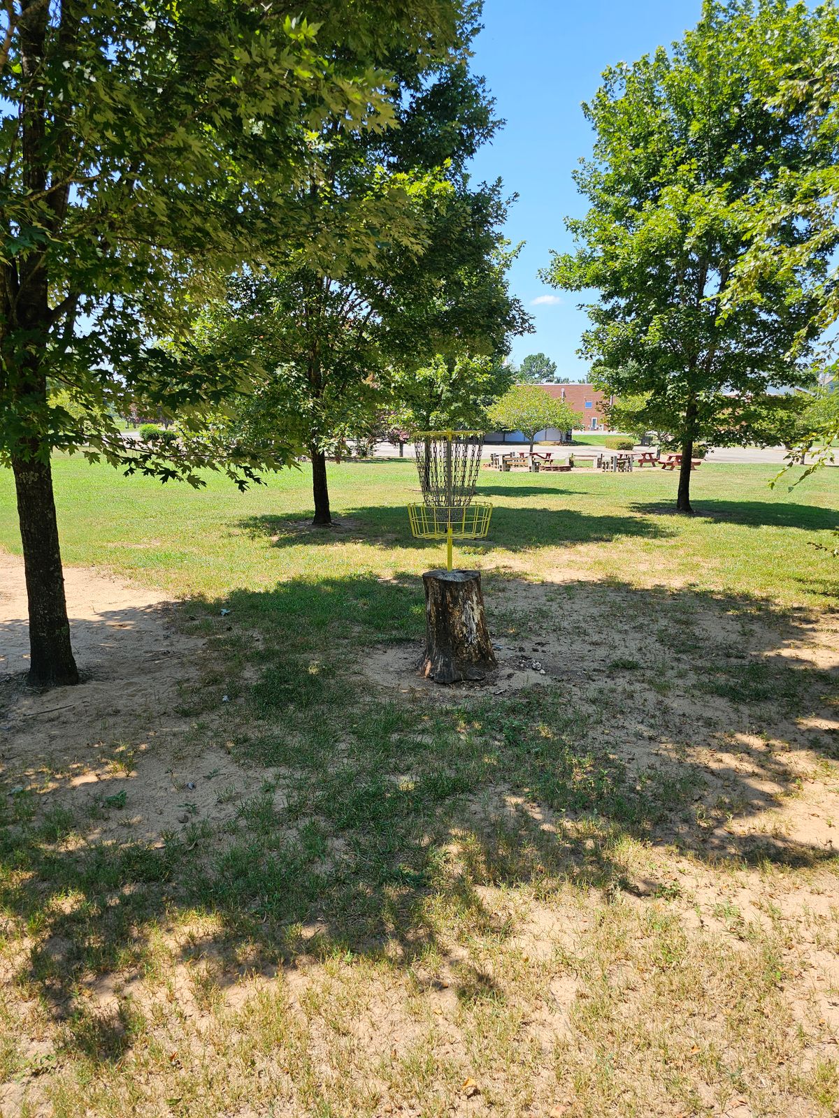 Hole 5's & 14's basket