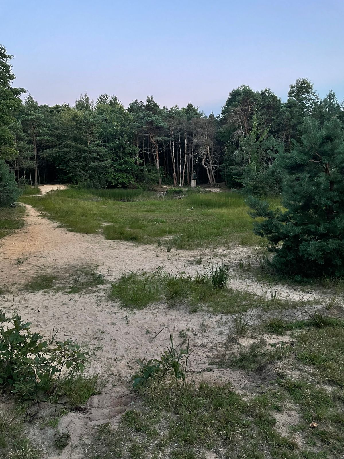 Looking back at 7’s basket from hole 8’s fairway