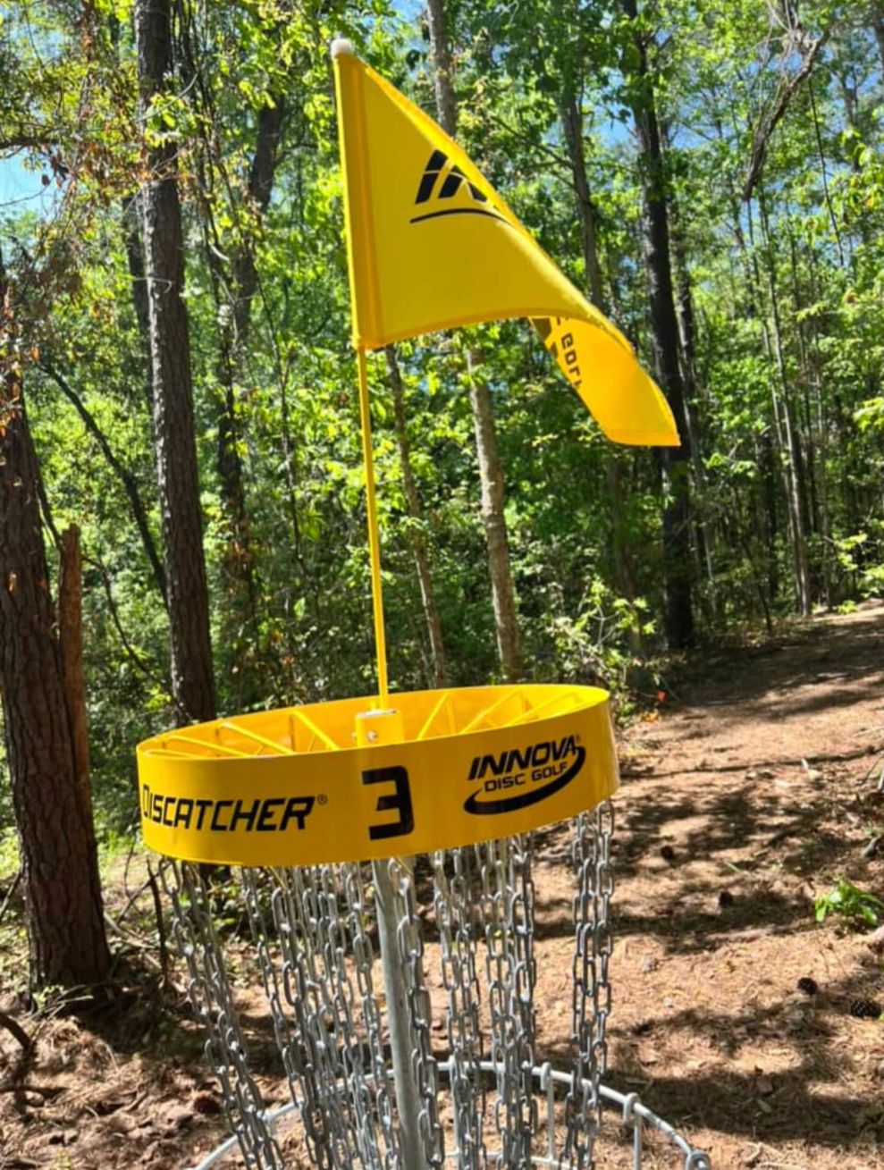 New pins and flags