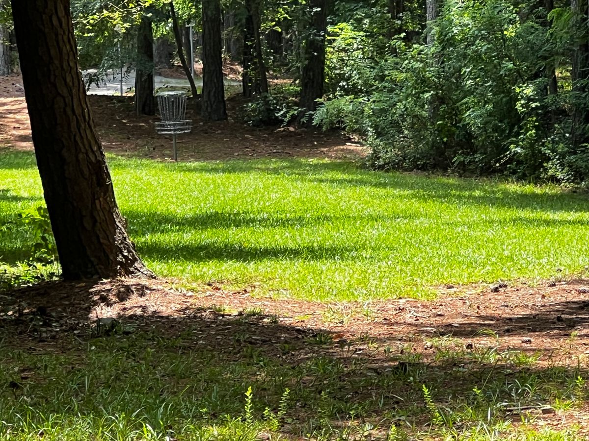 Hole 9 basket
