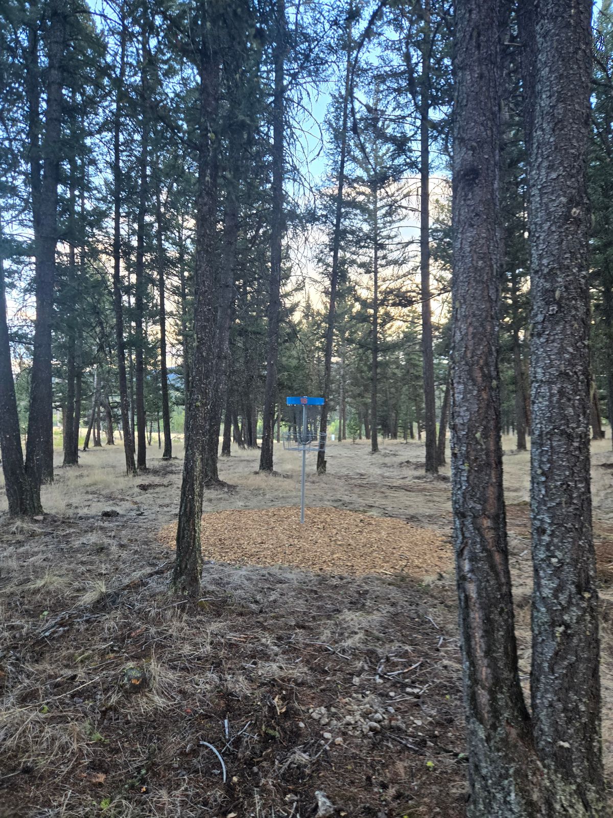 Hole 18 basket