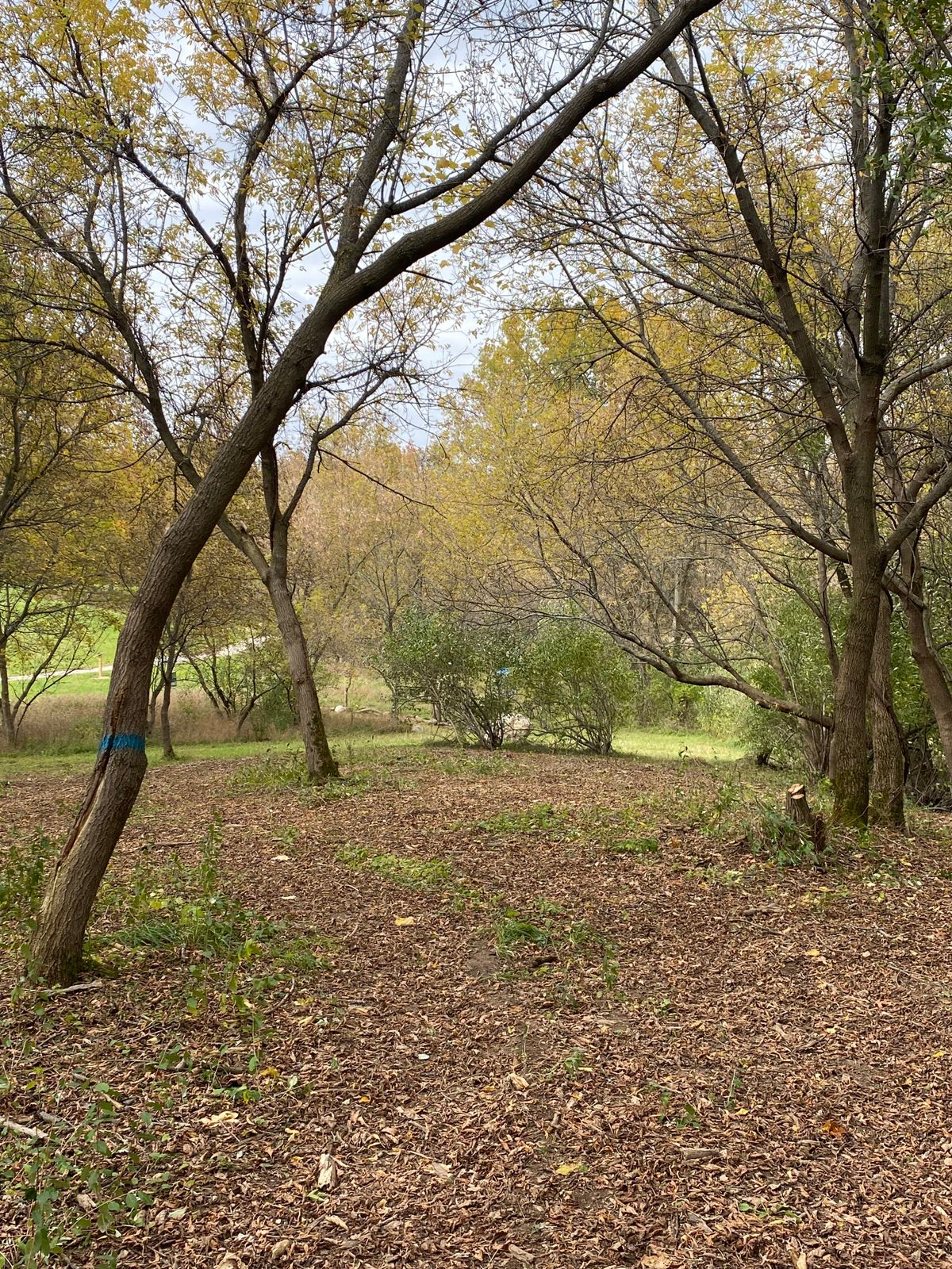 Hole 18 approach