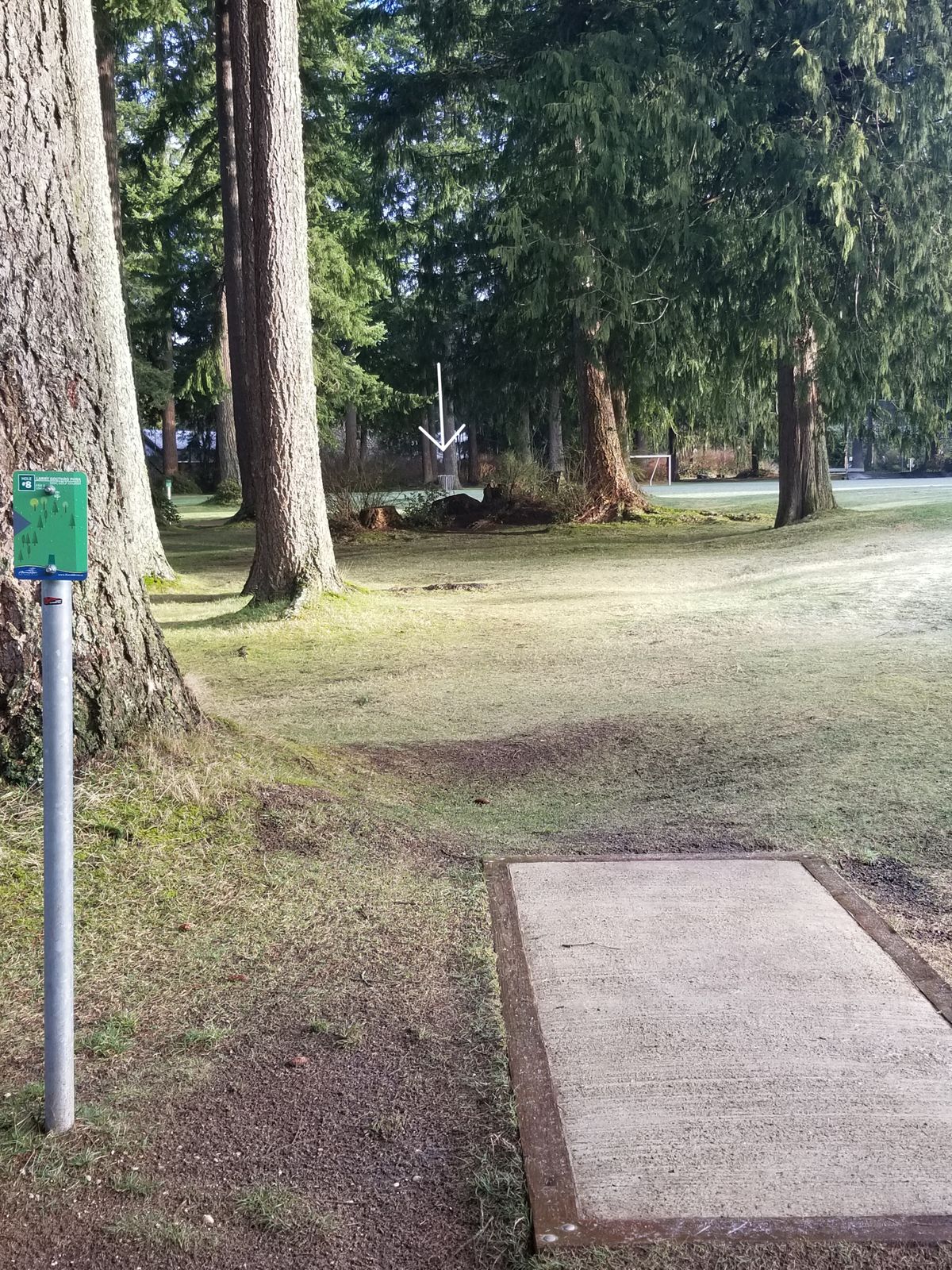 Hole 8