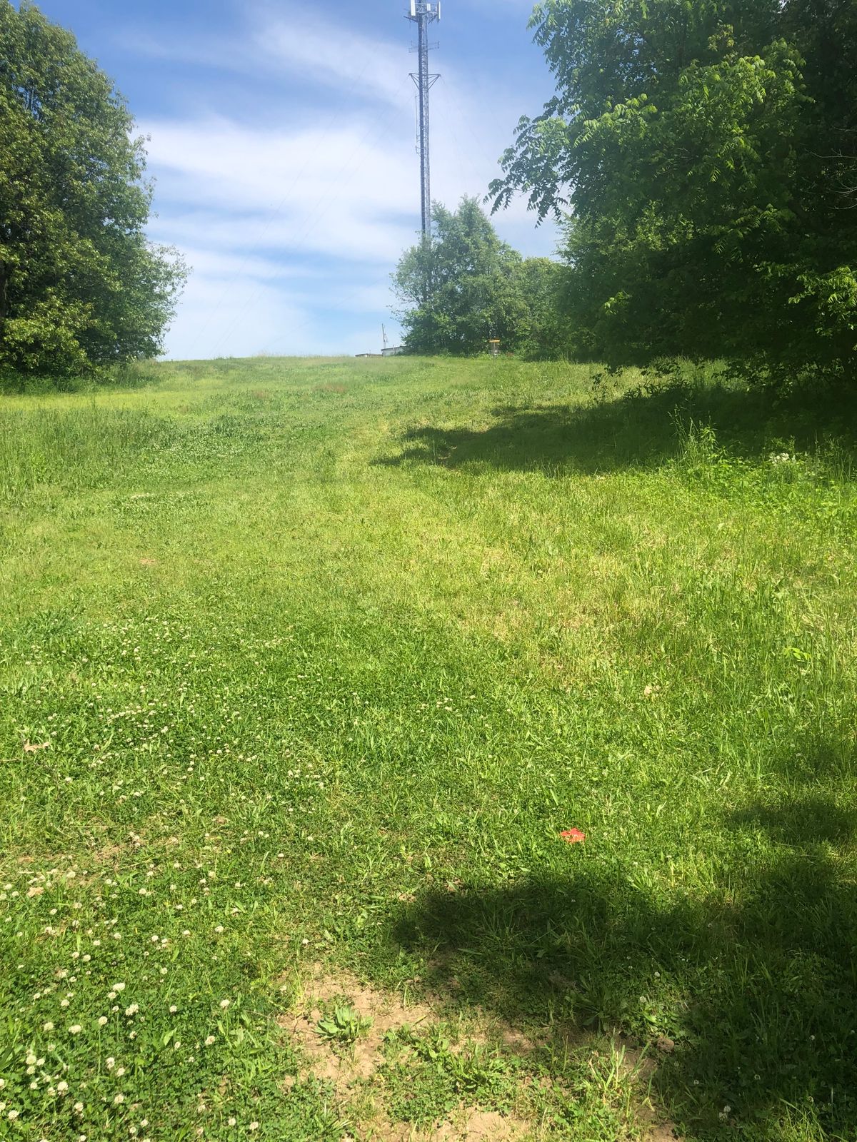 Hole 17 red tee