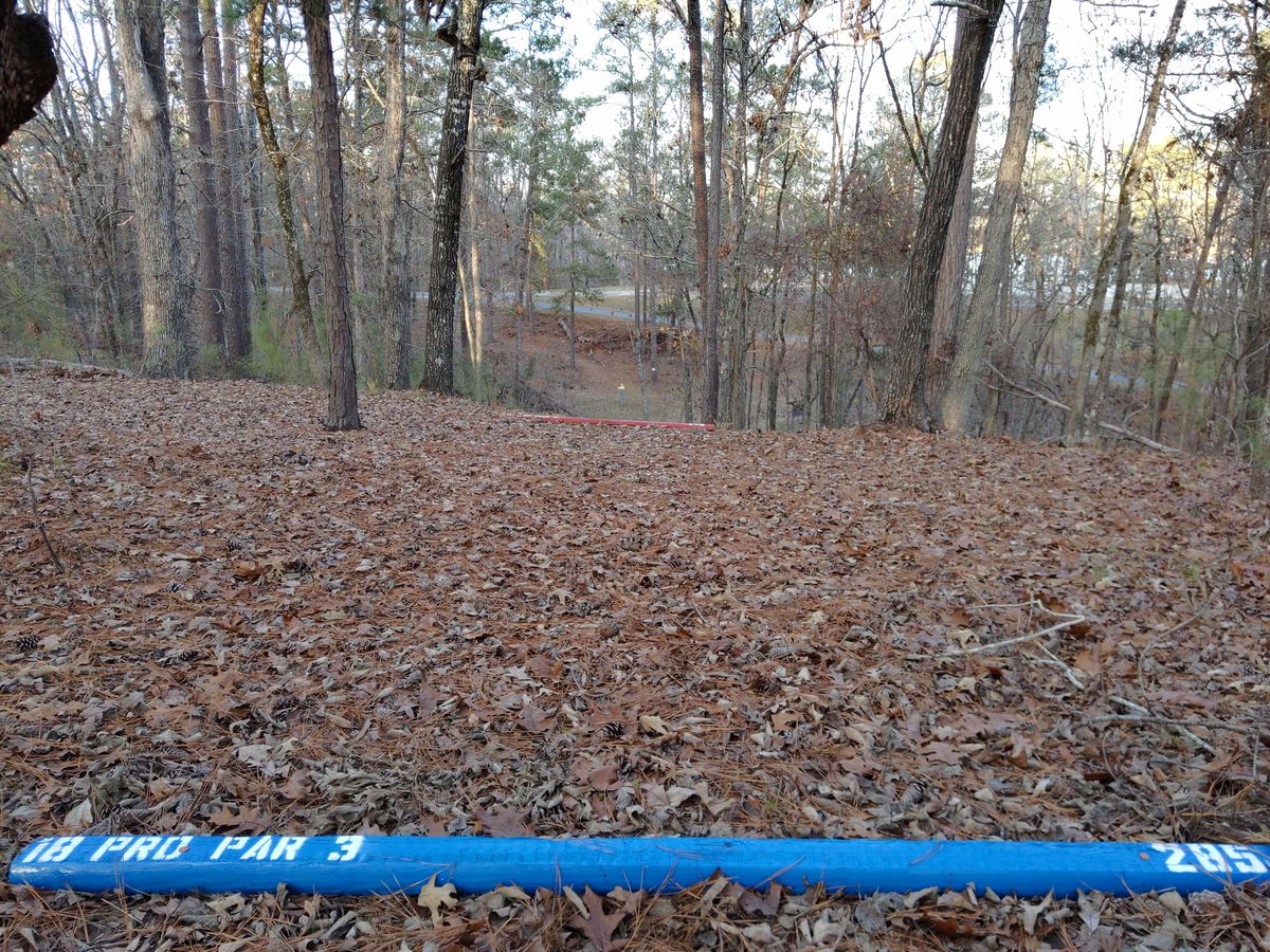 Hole 18 Pro Tee
