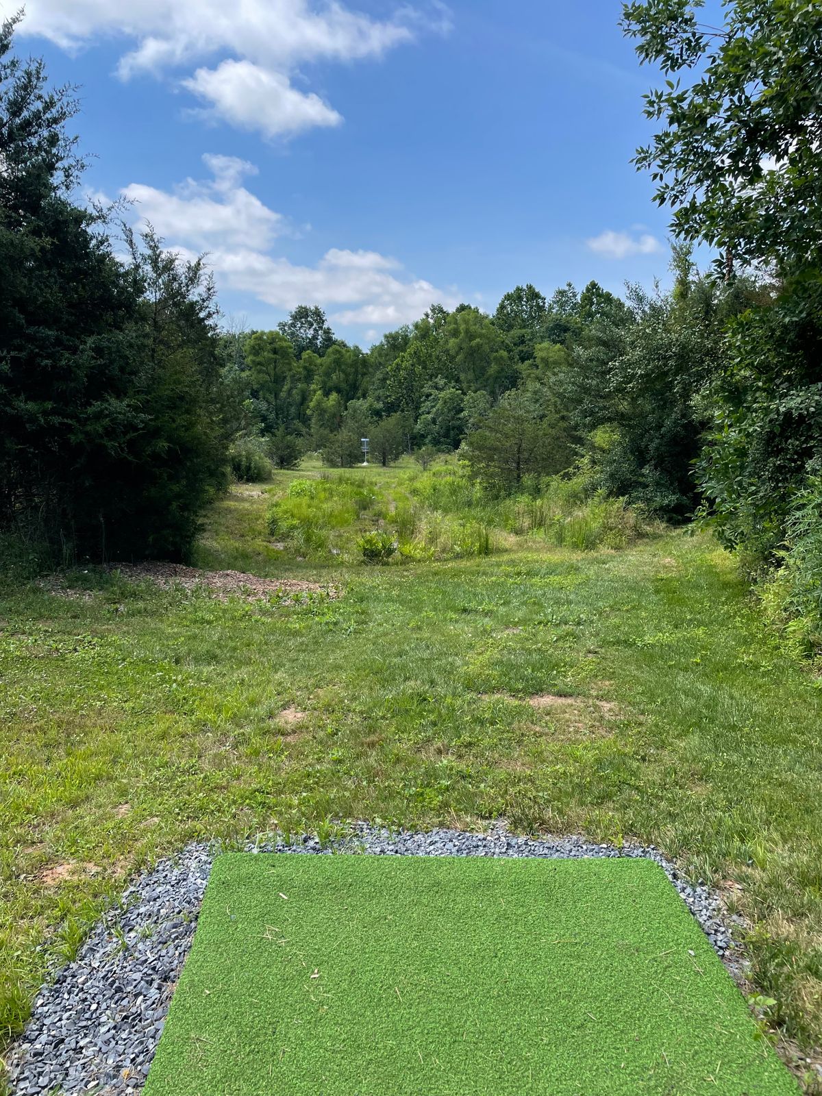 Hole # 5.