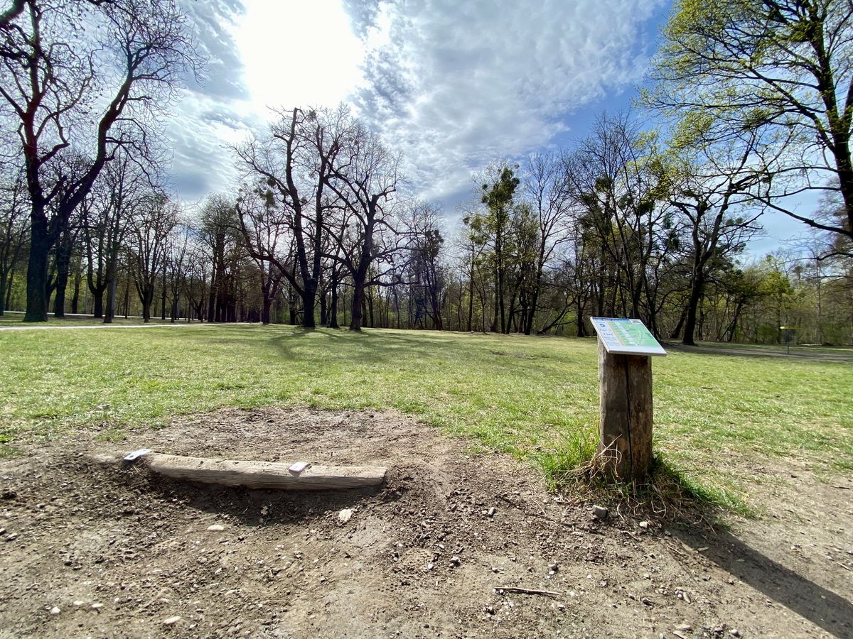 Hole 5. Most teepads look like this. Watch your ankles!