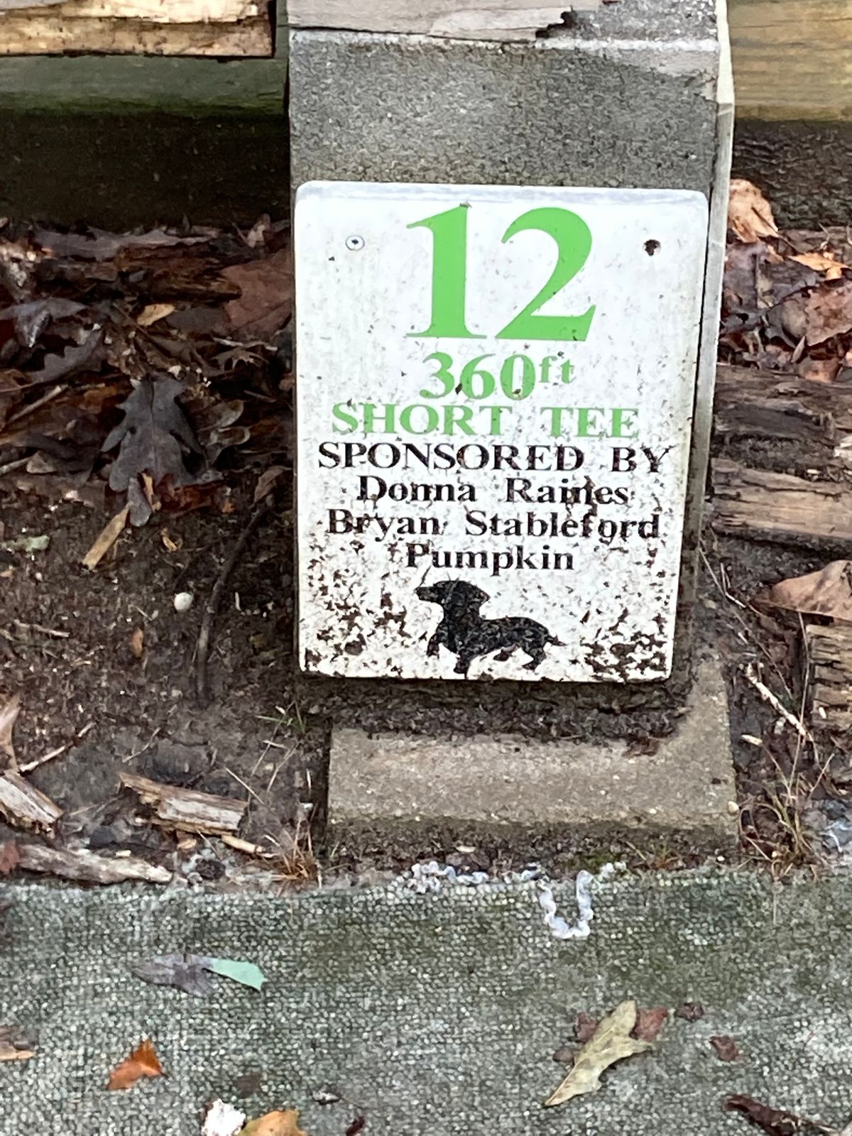 Hole 12 (short)
