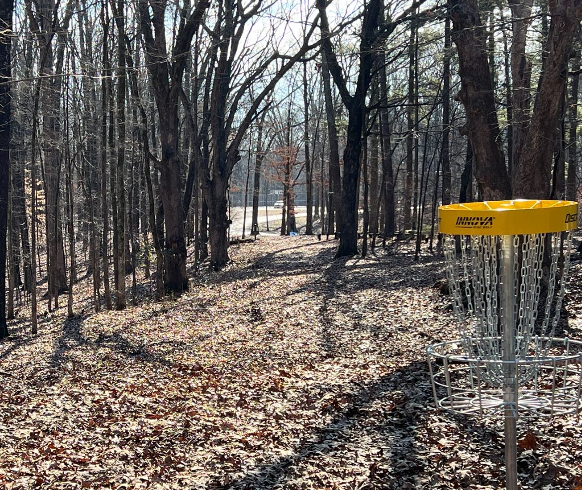 From green looking back towards tee box.