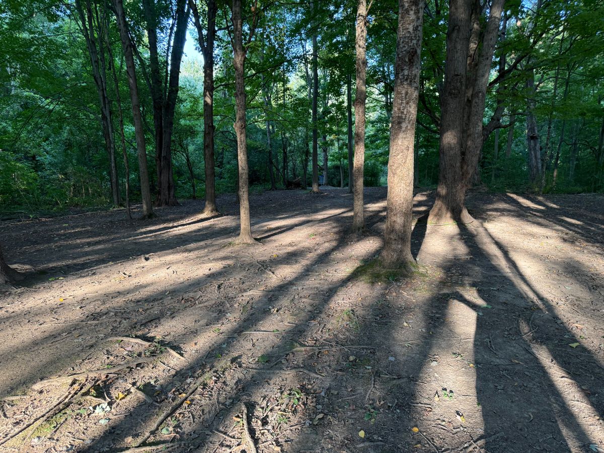 Hole 1 Fairway