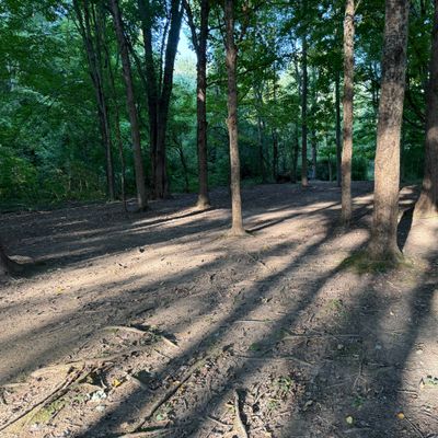 Hole 1 Fairway