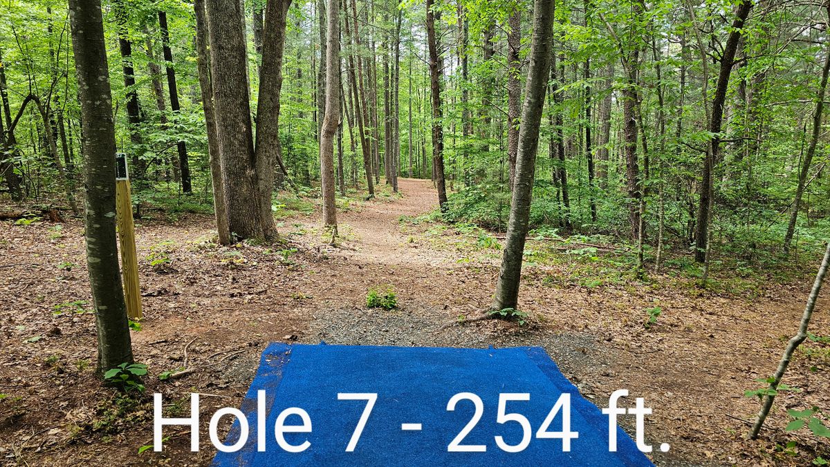 Hole 7 is now a tight tunnel shot that temps an ace run
