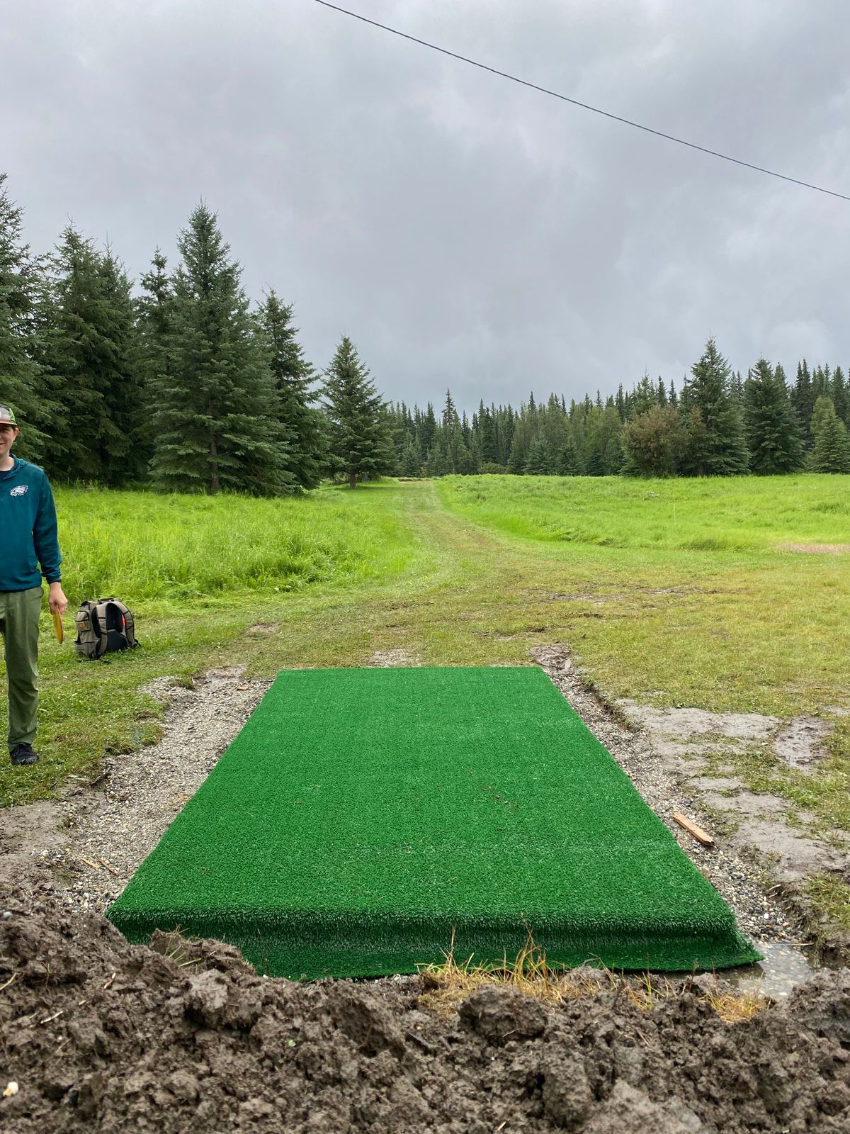 Hole 7, basket tucked behind pair of spruce trees near crest of hill