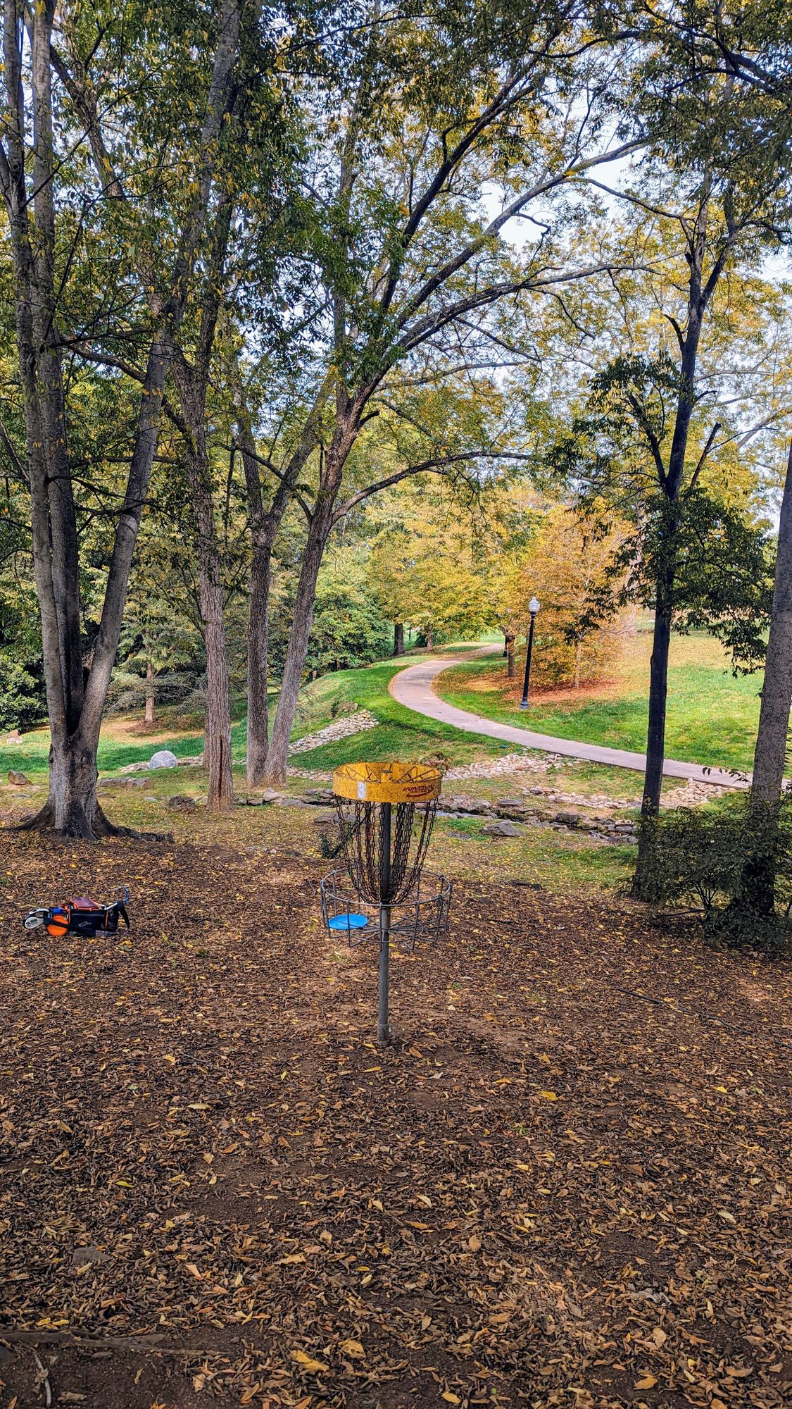 Basket for hole 3