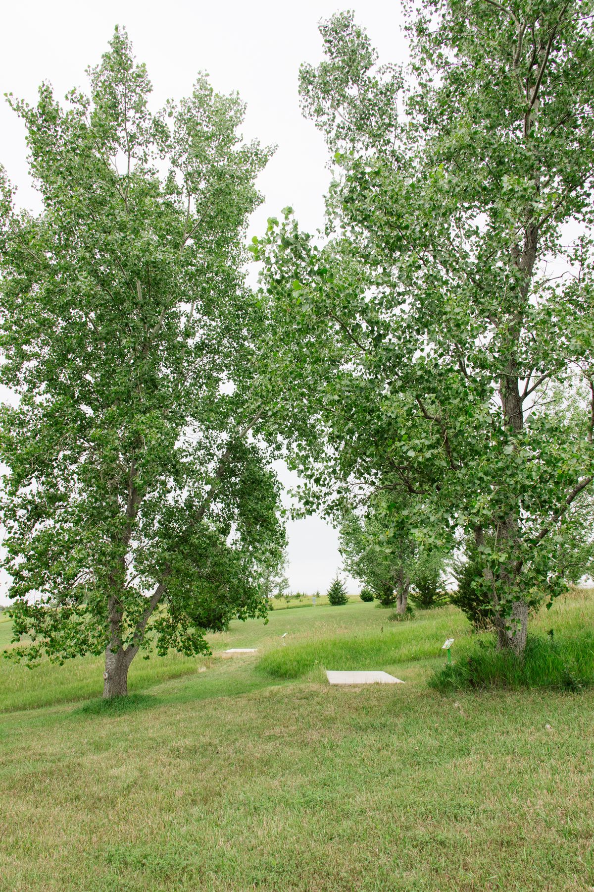 Hole 5