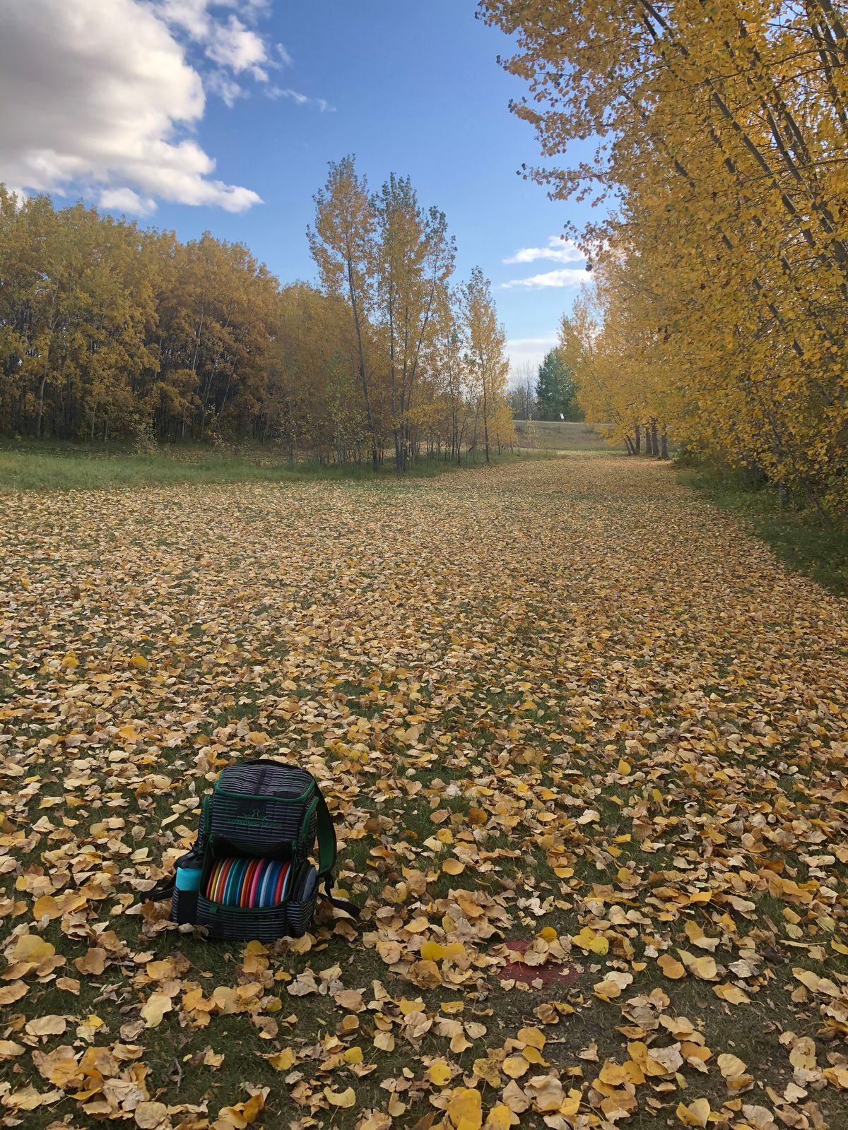 Hole 1 Teepad