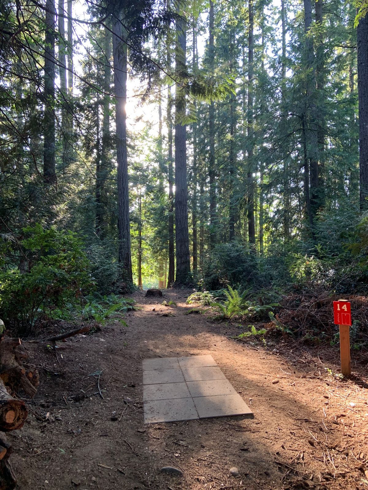 Hole 14 - Red Tee