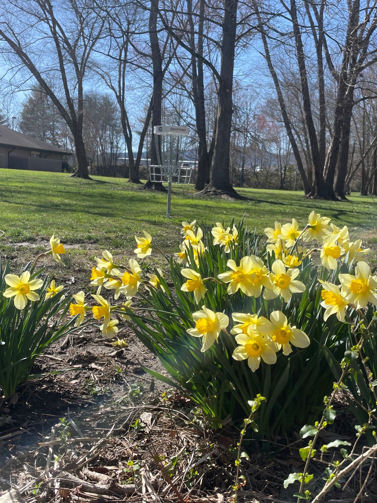 Spring time on hole 10’s green