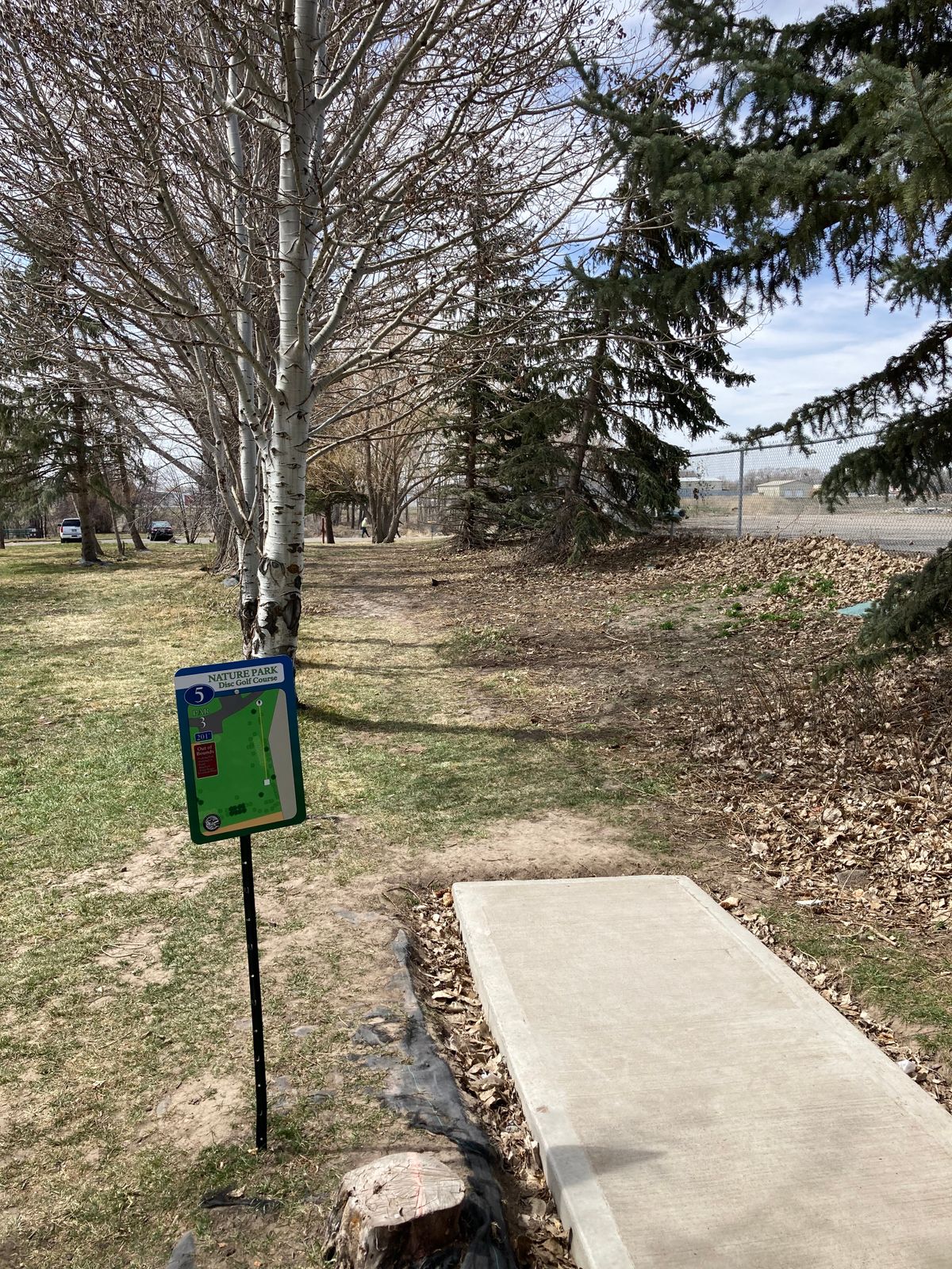 Hole 5