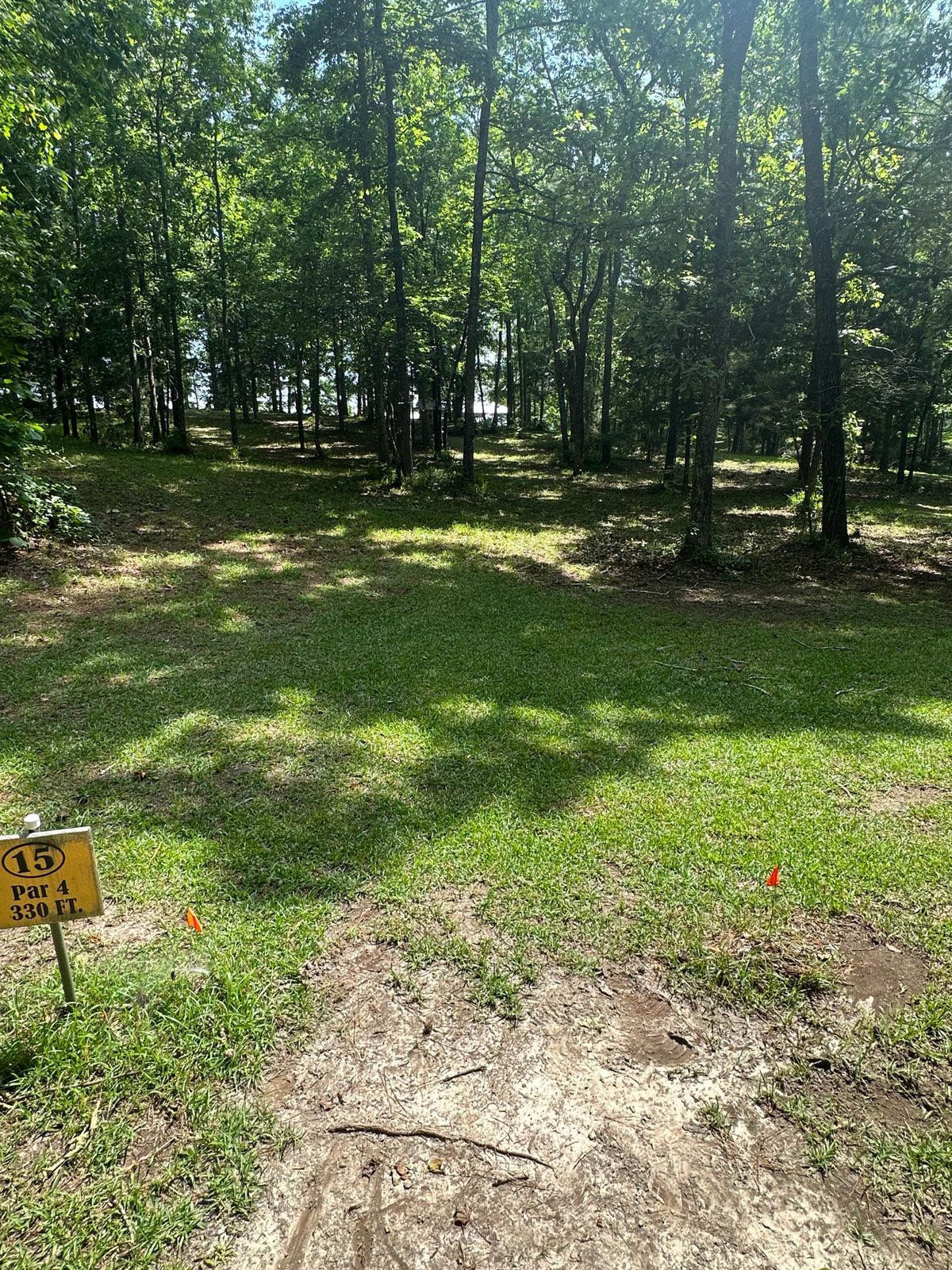 Hole 15 long tee