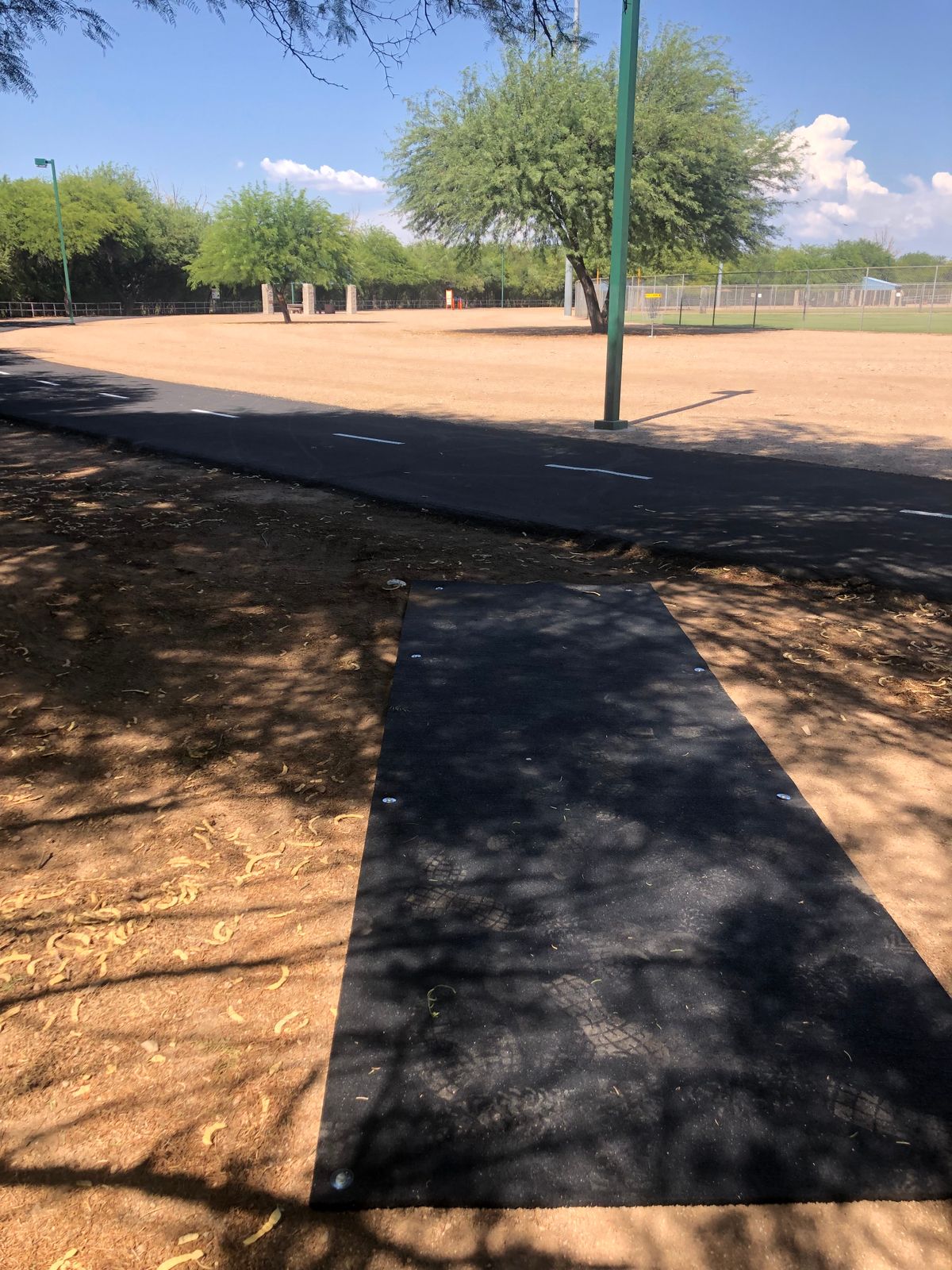 Hole 5: Throwing east to basket around softball field under big tree