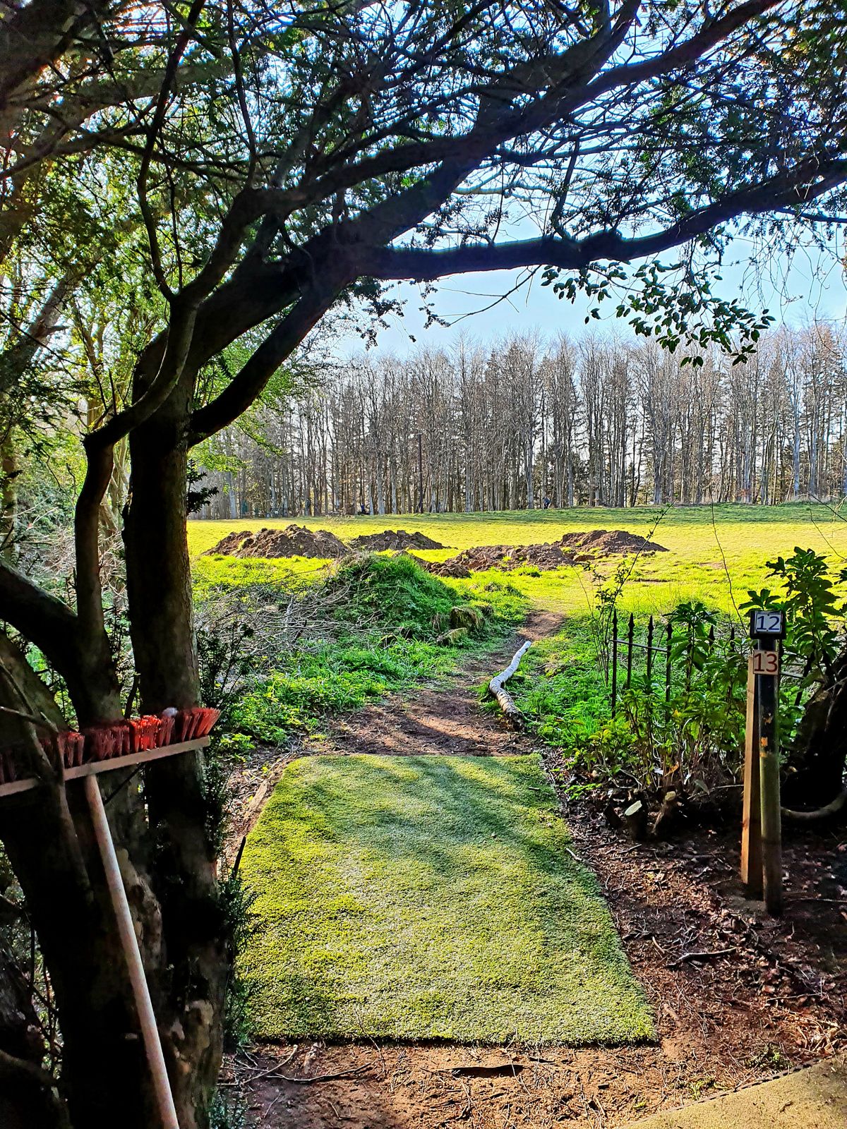 Hole 12 Blue tee
