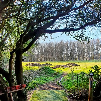 Hole 12 Blue tee