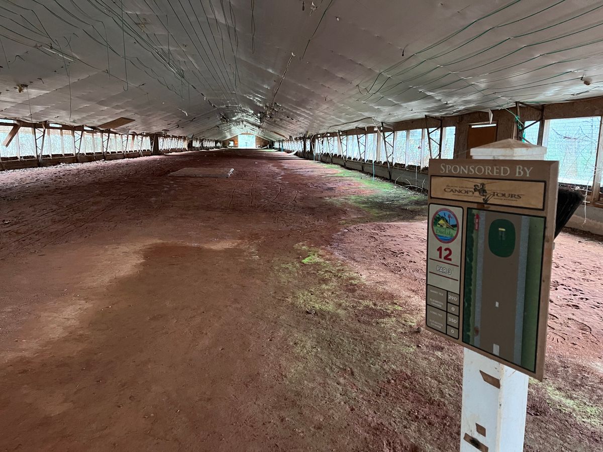 Hole 12 in an old chicken house is something everyone needs to experience.