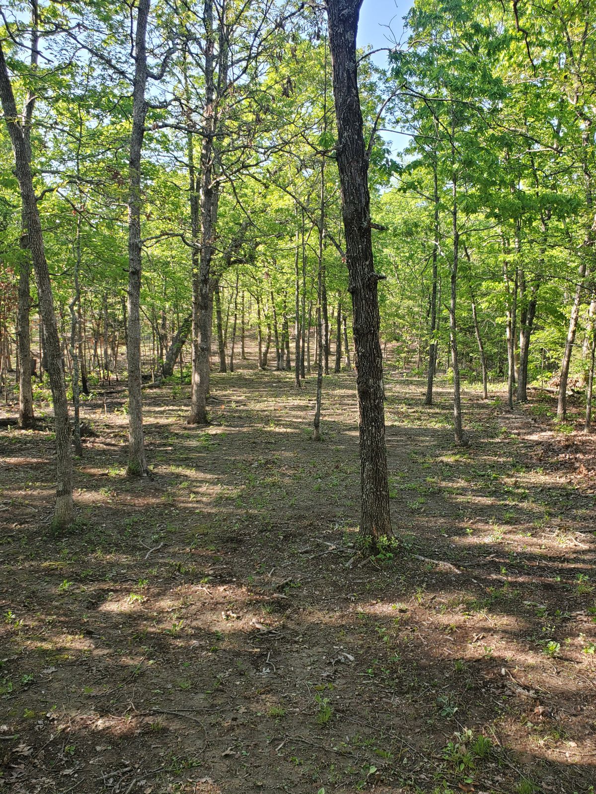 Hole 3 A pad