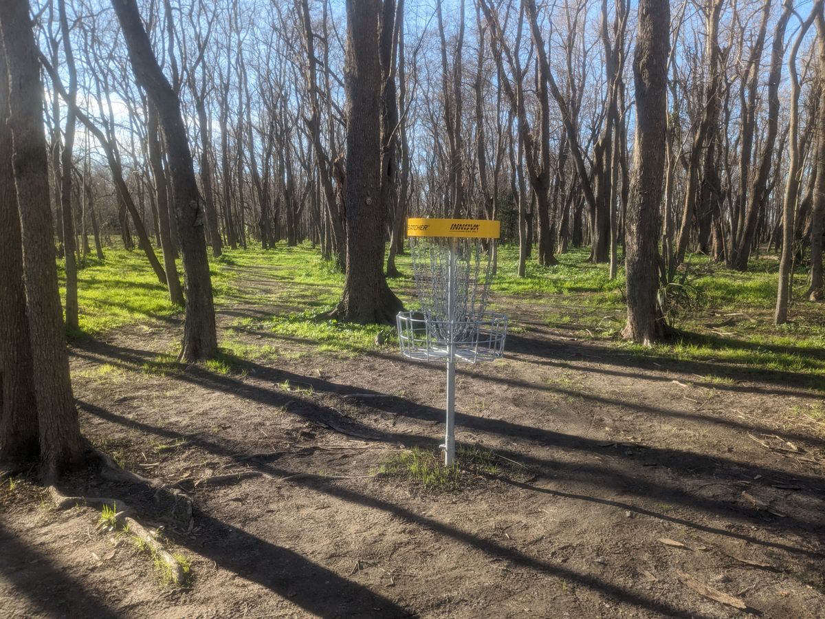 The trees have eyes here...