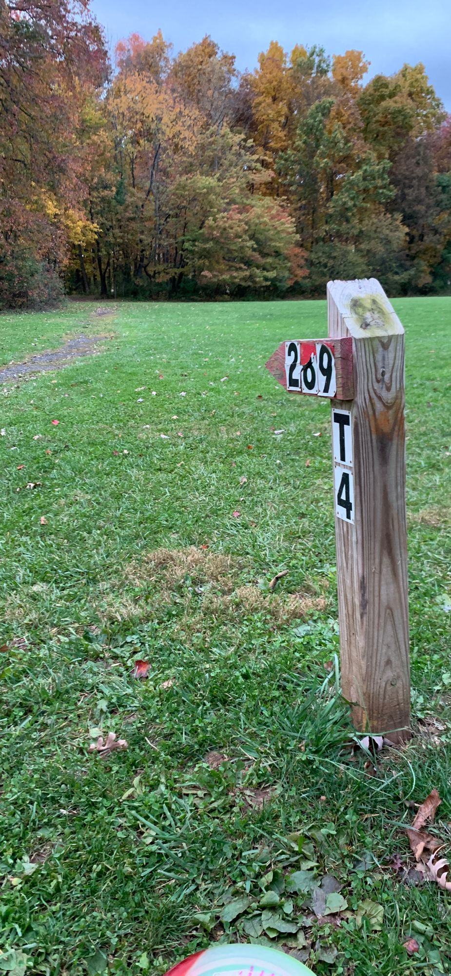 Hole 4 - The basket is just beyond the tree line.